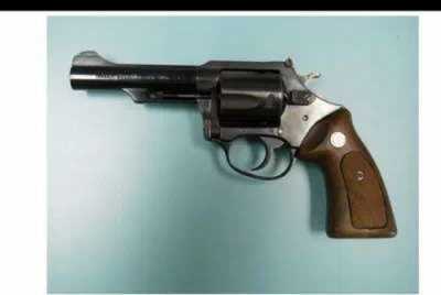 Revolver Charter Arms Target Bulldog 357 Magnum 5" Stainless Steel Barrel Adjustable Sight 5 Round 73550